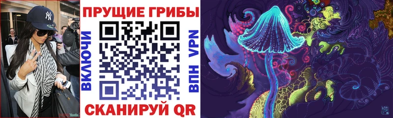Псилоцибиновые грибы Magic Shrooms  hydra зеркало  Грозный 