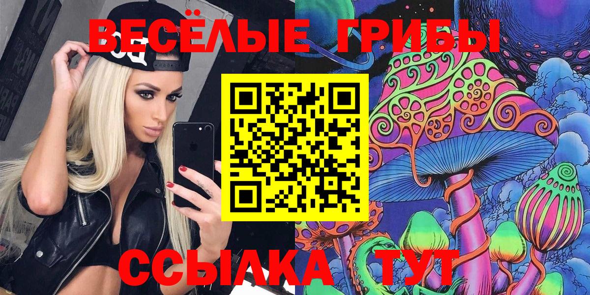 Грозный  Галлюциногенные грибы ЛСД  Псилоцибиновые грибы Cubensis  Вход с VPN 
