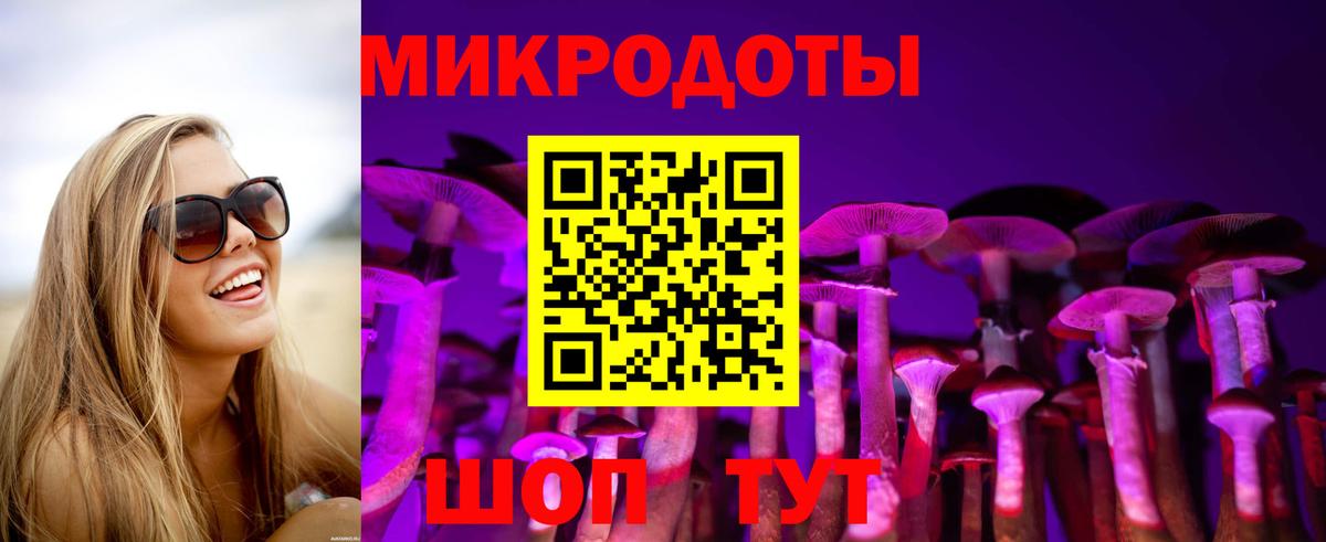 Галлюциногенные грибы мухоморы Грозный